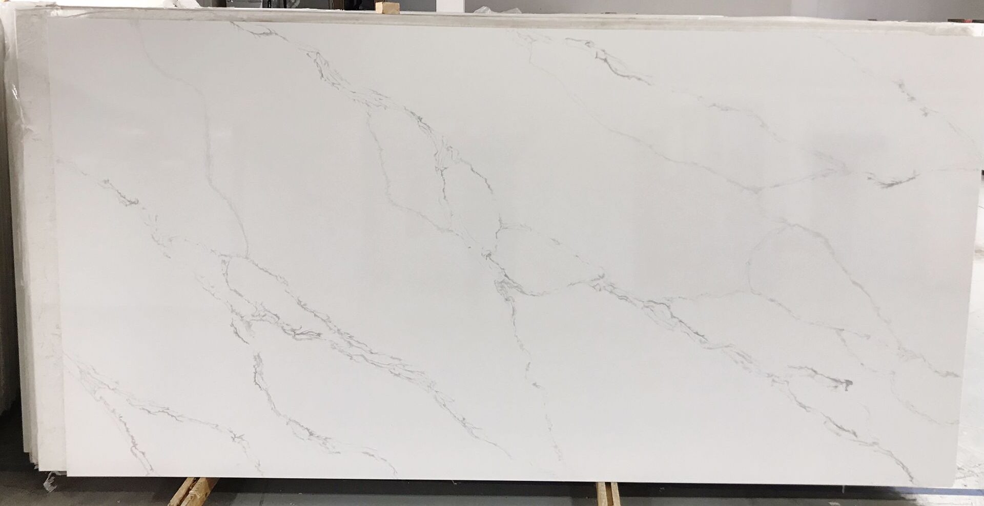 Calacatta Palm | Quartz | countertop, quartz | EUROLUX