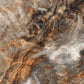 Rainbow Brown Porcelain Tile - 24" x 48"