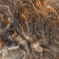 Rainbow Brown Porcelain Tile - 24" x 48"