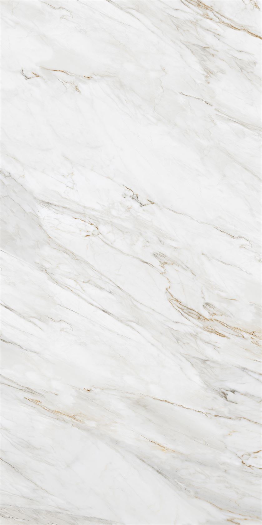 Calacutta Borghini | Tile | 1200 x 2400mm, 1600x3200mm, marble series | EUROLUX