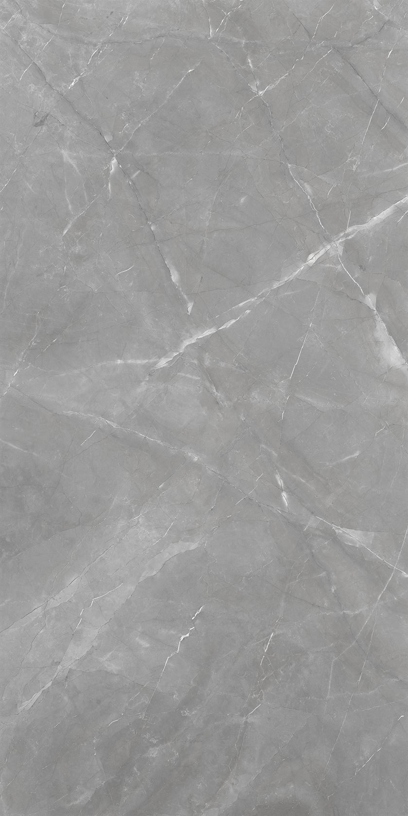 Armani Silver | Tile | 1200x2400mm, 1600x1600mm, marble series | EUROLUX