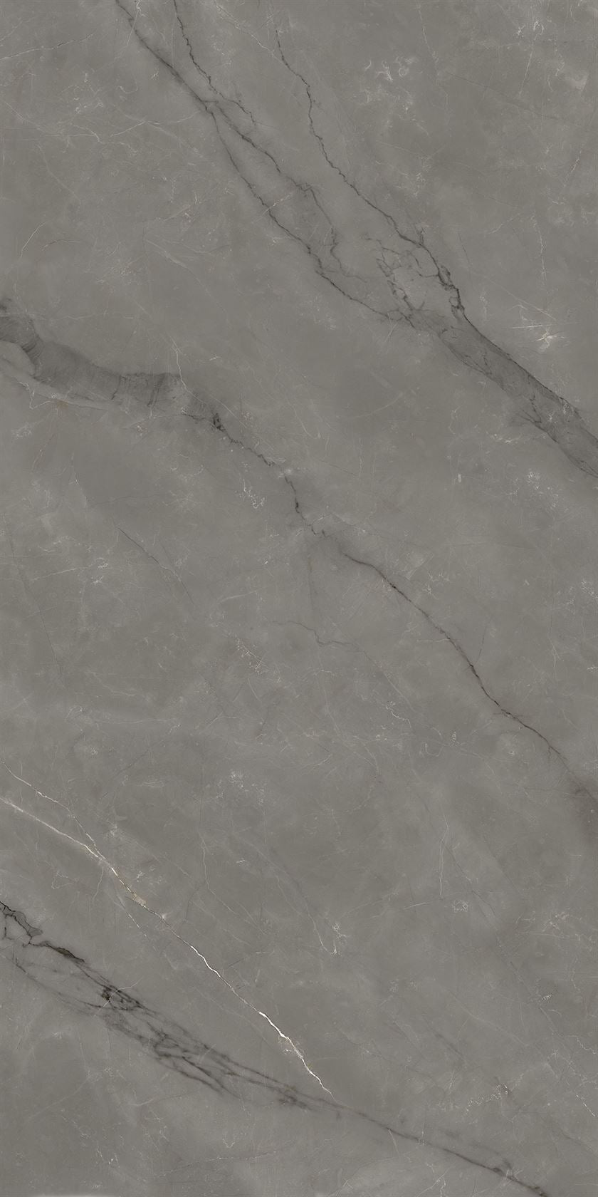 Astonia Grey floor innovation