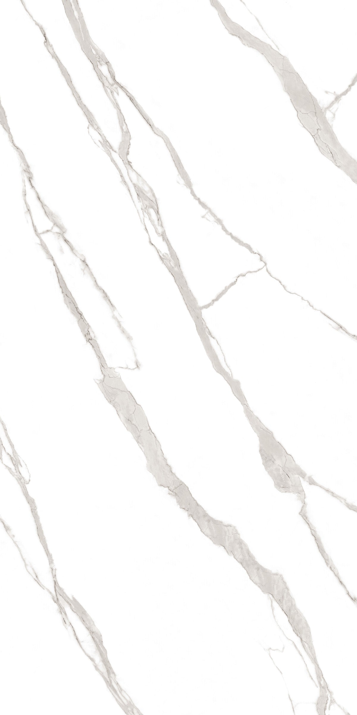 Apuane Statuario | Tile | 1200x2400mm, 1600x3200mm, marble series, tile | EUROLUX